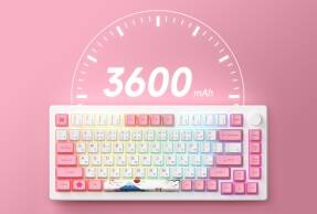 MOD007B PC Tokyo Magnetic Switch Gaming Keyboard | Akko