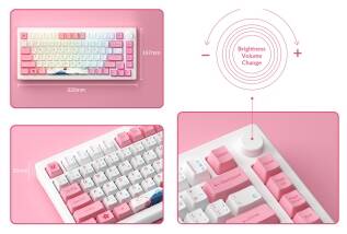 Akko MOD007B PC 美品 ＋ オマケASAキーキャップ Akko MOD007B PC 美品 ＋ オマケASAキーキャップ - メルカリ