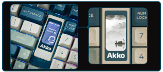 AKKO様 Black & Gold 5098B Mechanical Keyboard | Akko Official